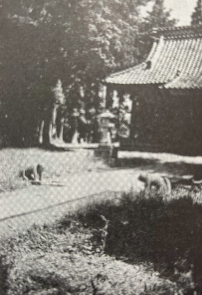 キティ　狛犬　こま犬　食器　まとめ売り キティ 狛犬 こま犬 食器 まとめ売り キティ 狛犬 こま犬 食器 まとめ